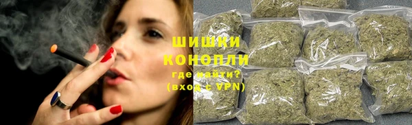 ГАЛЛЮЦИНОГЕННЫЕ ГРИБЫ Иннополис