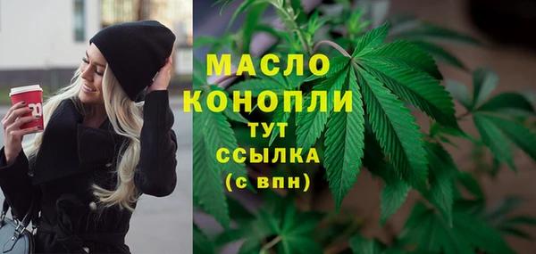 дмт Инсар