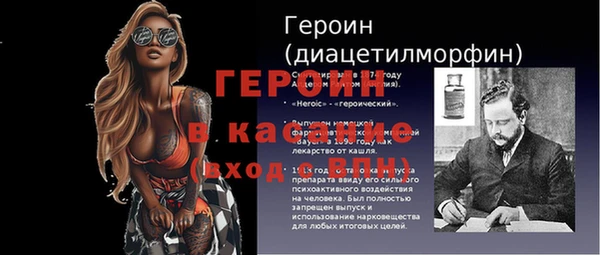 гидра Инта