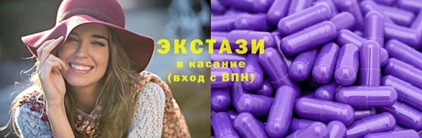 гидра Инта