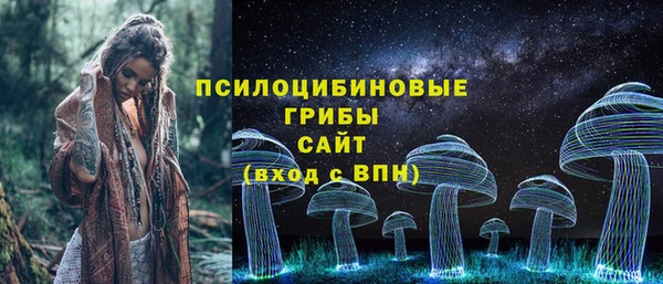 дмт Инсар