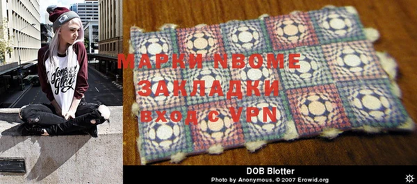 гидра Инта