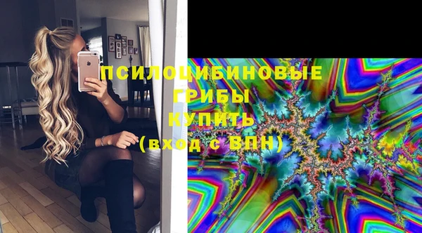 ГАЛЛЮЦИНОГЕННЫЕ ГРИБЫ Иннополис