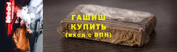 гидра Инта