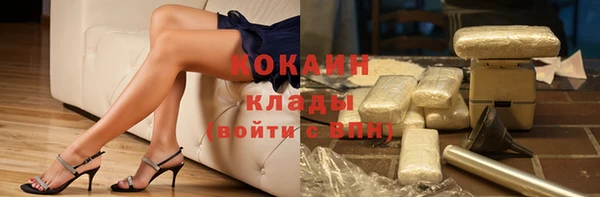 гидра Инта