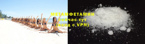 гидра Инта