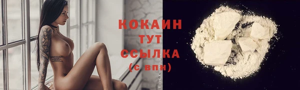 дмт Инсар