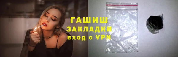 гидра Инта