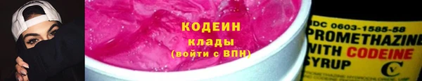 дмт Инсар