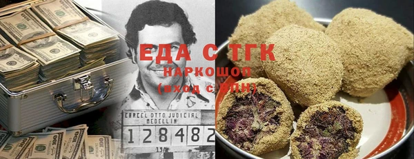 гидра Инта