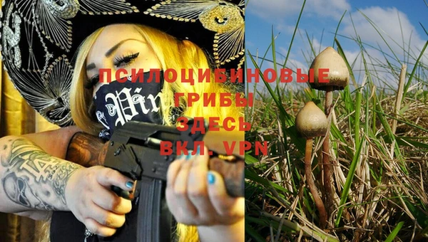 дмт Инсар