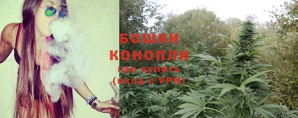 гидра Инта