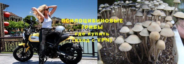 дмт Инсар