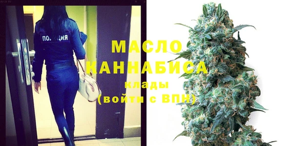 дмт Инсар