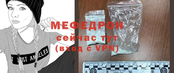 гидра Инта