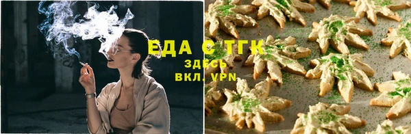 гидра Инта