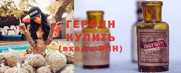 гидра Инта