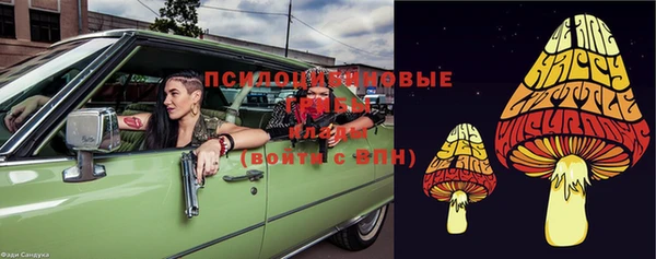 ГАЛЛЮЦИНОГЕННЫЕ ГРИБЫ Иннополис