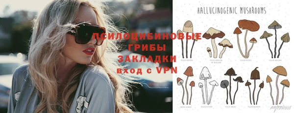 дмт Инсар