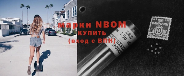 ГАЛЛЮЦИНОГЕННЫЕ ГРИБЫ Иннополис