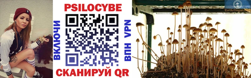 Купить  Луза  Галлюциногенные грибы Psilocybe 