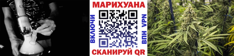 Купить где  Луза  Конопля THC 21% 